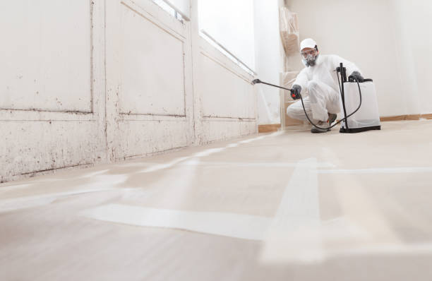 24/7 Emergency Basement Mold Remediation experts in Clearville, PA